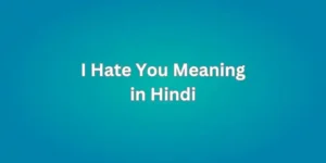 I Hate You Meaning in Hindi