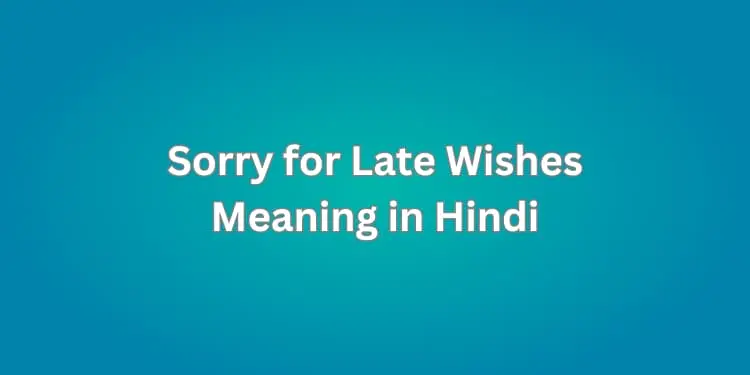 Sorry for Late Wishes Meaning in Hindi