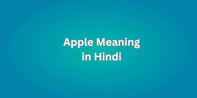 Apple Meaning in Hindi