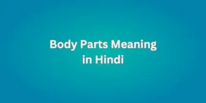 Body Parts Meaning in Hindi