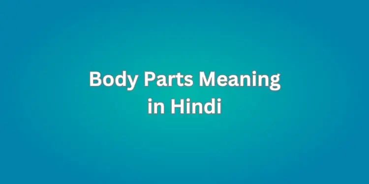 Body Parts Meaning in Hindi