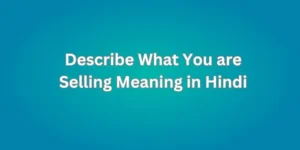 Describe What You are Selling Meaning in Hindi