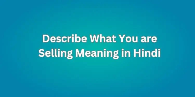 Describe What You are Selling Meaning in Hindi