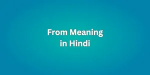 From Meaning in Hindi