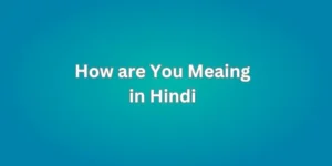 How are You Meaing in Hindi