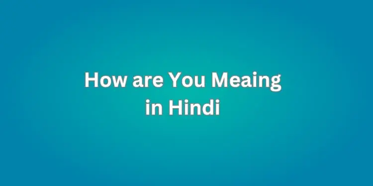 How are You Meaing in Hindi