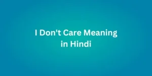 I Don't Care Meaning in Hindi