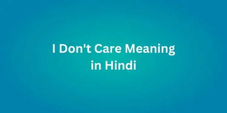 I Don't Care Meaning in Hindi