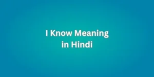 I Know Meaning in Hindi