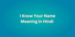 I Know Your Name Meaning in Hindi