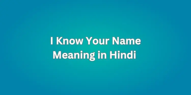 I Know Your Name Meaning in Hindi