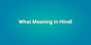 What Meaning in Hindi