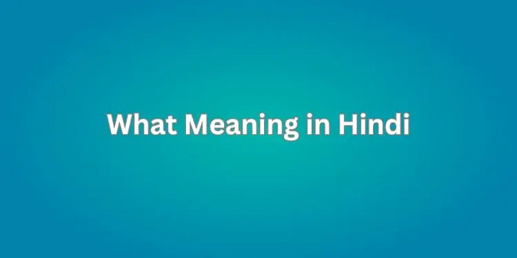 What Meaning in Hindi